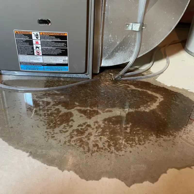 Appliance Leak Cleanup in Downieville, CA